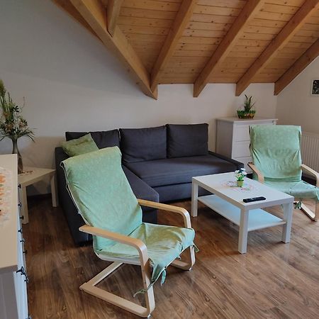 Gemuetliche Ferienwohnung Im Schoenen Erzgebirge - Wohnung Fruehling Eibenstock Dış mekan fotoğraf
